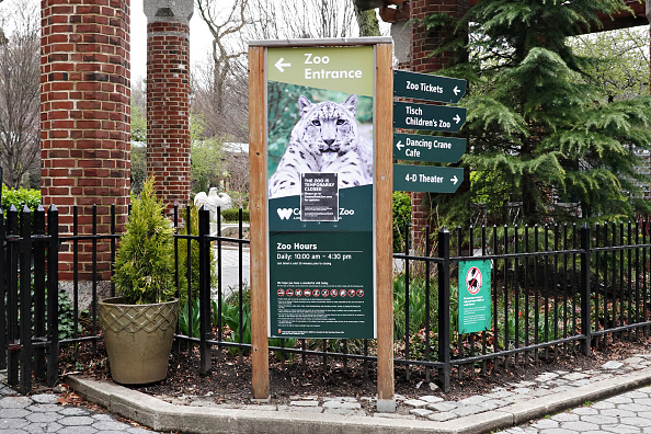 -Une vue du zoo de Central Park temporairement fermé, le coronavirus continue de se propager aux États-Unis le 19 mars 2020 à New York. Photo par Cindy Ord / Getty Images.