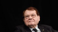 « Le coronavirus est sorti d’un laboratoire de Wuhan avec de l’ADN du VIH » affirme le prix Nobel de médecine Luc Montagnier