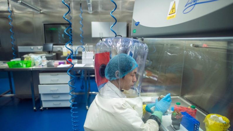 Un opérateur est vu à l'intérieur du laboratoire P4 à Wuhan, capitale de la province chinoise du Hubei, le 23 février 2017. (Johannes Eisele/AFP via Getty Images)