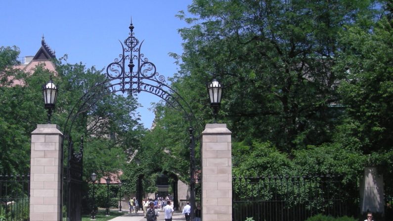 L'entrée de l'Université de Chicago, où John Dewey, un réformateur de l'enseignement, a donné des cours. En 1896, John Dewey a fondé les écoles de laboratoire de l'université de Chicago, où il a appliqué et testé ses idées progressistes. (Michael Barera/CC BY-SA 4.0)