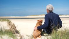 Un ancien vétéran mourant dans un hospice demande à retrouver son chien une dernière fois, les photos deviennent virales