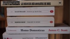 Participez au nouveau défi «tranches poétiques» en empilant 3 à 10 livres pour réaliser un poème avec leurs titres