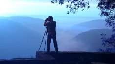 Un photographe capture des photos magnifiques d’un ours dans les Hautes-Pyrénées