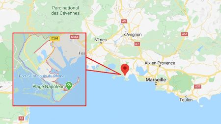 Camargue : 53 cadavres d’oiseaux marins protégés découverts sur une plage de Port-Saint-Louis