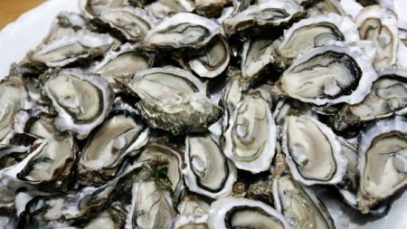 Gironde : tous les coquillages du bassin d’Arcachon interdits de consommation