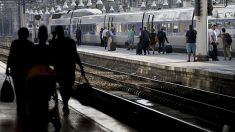 Sa valise, contenant toute l’histoire de sa famille depuis le 13e siècle, disparaît dans le TGV Paris-Lille