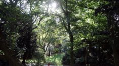 Aux Buttes-Chaumont, les Parisiens goûtent « la liberté retrouvée » dans leur « jardin »