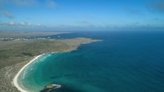 Equateur: les Galapagos, patrimoine de l’humanité, rouvriront au tourisme le 1er juillet