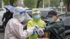 Des mesures d’isolement strictes sont mises en place dans le nord-est de la Chine alors que le virus continue de se propager