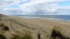 Landes : une mère et ses trois enfants emportés par une vague pendant une promenade sur la plage