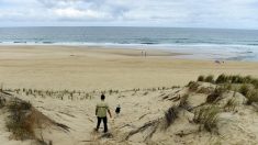 Landes : un avion survole les plages en rase-mottes et sème la panique parmi les promeneurs