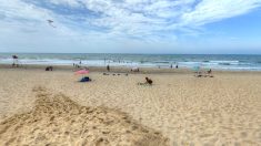 Gironde : un promeneur découvre 22 obus sur la plage nord de Vendays-Montalivet