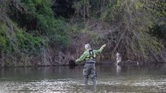 Creuse : quelques jours après l’ouverture de la pêche, il fait une prise exceptionnelle