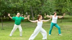 Vous commencez à faire de l’exercice physique? Le tai-chi pourrait être l’activité parfaite pour débuter