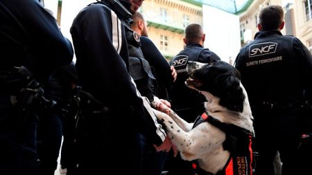 Seine-Saint-Denis : la SNCF s’explique après l’interpellation musclée d’une femme enceinte dans la gare d’Aulnay-sous-Bois