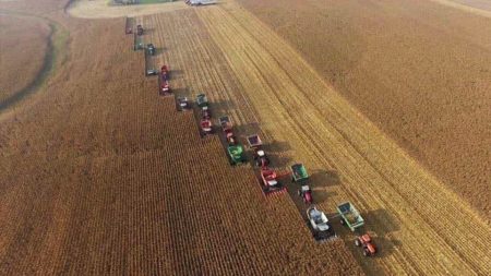 Souvenirs d’une communauté qui s’est mobilisée pour récolter du maïs sur 182 hectares en 10 heures afin d’aider un agriculteur atteint d’un cancer en phase terminale