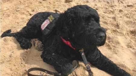 Un chien de thérapie sauve la vie de son propriétaire en le léchant pour qu’il prenne ses médicaments contre un trouble hormonal mortel