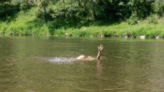 Un survivant du cancer de 12 ans saute dans un fleuve pour sauver un homme de la noyade et pratique la réanimation cardiorespiratoire