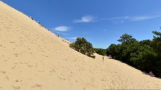 Landes : il monte la Dune du Pilat en échasses, une tradition qu’il souhaite faire revivre