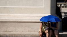 Pic de chaleur en France : mercredi, jeudi et vendredi il fera très chaud