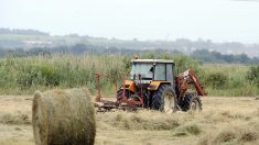 Des balles de foin colorées dans les champs du nord de la Haute-Vienne, pour lutter contre le cancer