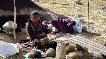 Le pashmina, victime collatérale de la confrontation Inde-Chine