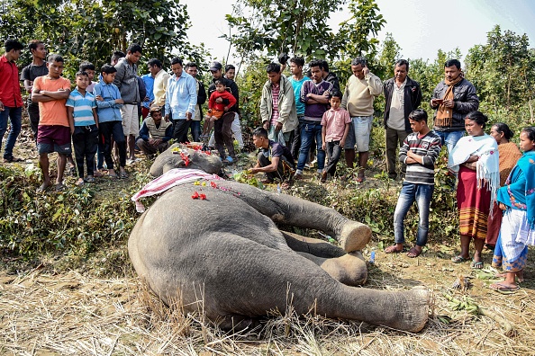 (Photo : KULENDU KALITA/AFP via Getty Images)