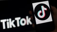 Le régulateur européen s’intéresse à TikTok et alerte sur la reconnaissance faciale