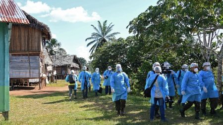 Brésil: des indigènes réfugiés dans la forêt pour échapper au coronavirus