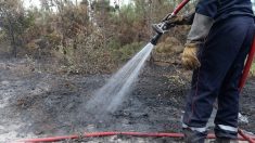 Manche : il brûle ses déchets verts, le feu se propage sur 2000 m2 et il se blesse les mains