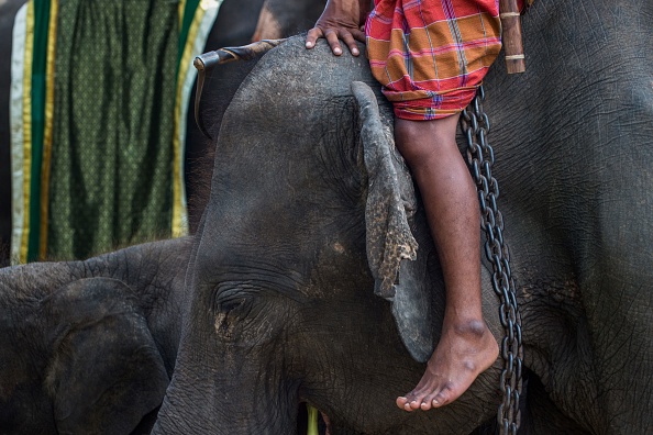  (Photo : ROBERTO SCHMIDT/AFP via Getty Images)