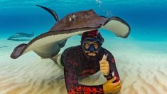 Une raie amicale forme un abri avec son corps pour un plongeur lors d’une séance photo sous-marine au fond de l’océan