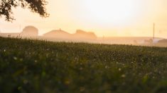 Finistère : un agriculteur met fin à ses jours en laissant une lettre expliquant son geste