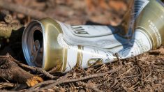 Seine-et-Marne : excédé par la pollution, il nettoie seul tout son chemin de promenade