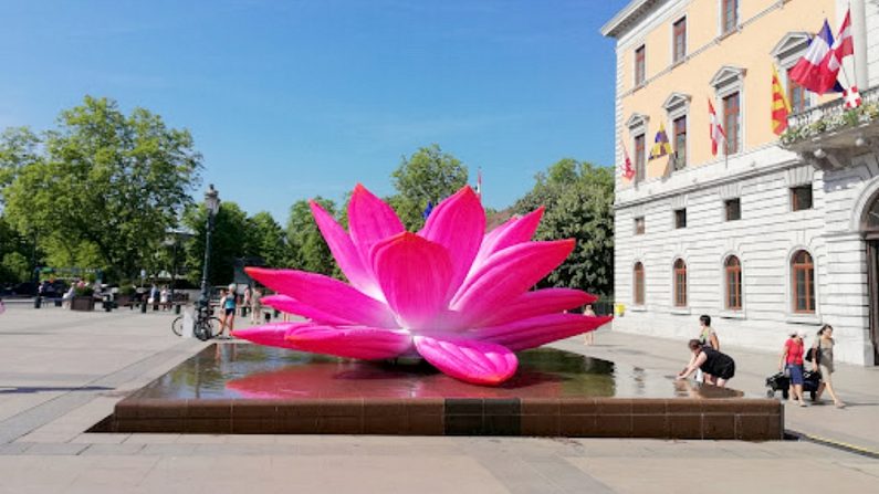 Le lotus rose (Annecy - Hôtel de ville) - Photo de Iza Bb - Google maps