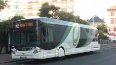 Chauffeur de bus agressé à Bayonne : le parquet demande deux mises en examen pour tentative d’homicide volontaire