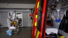 Un rapport au vitriol des pompiers dénonce la gestion de l’épidémie de coronavirus