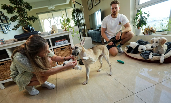 -Paige Tiesdell et Edward Riley, résidents britanniques du Qatar, jouent avec leurs chiens à leur domicile de Doha, la capitale du Qatar, le 18 juin 2020. Ils étaient autrefois des chiens errants dans les rues de Doha avant d'être accueillis par l'organisation de protection des animaux Paws. Photo by KARIM JAAFAR/AFP via Getty Images.