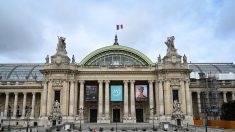 Virus du PCC : 800 soignants invités à une soirée de remerciement au Grand Palais