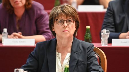 Municipales à Lille : Violette Spillebout et Stéphane Baly, les deux opposants de Martine Aubry, déposent un recours en justice