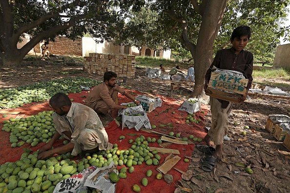 -Les récoltes décroissantes, la baisse de la demande et les chaînes d'approvisionnement d'exportation sont touchées par le coronavirus. Photo de SHAHID SAEED MIRZA / AFP via Getty Images.