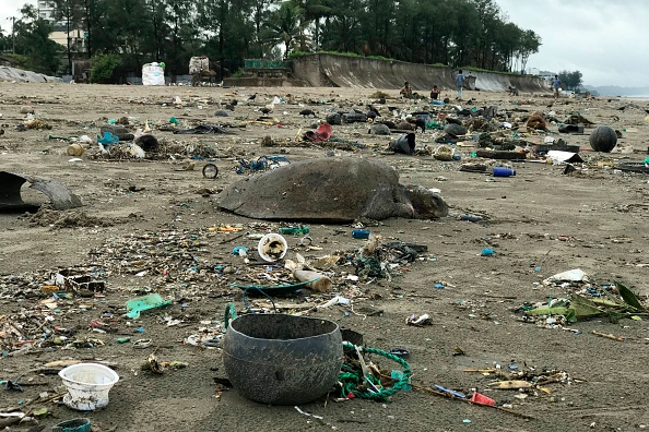 Une tortue de mer morte est vue sur une plage de Cox's Bazar le 12 juillet 2020. (Photo :  SUZAUDDIN RUBEL/AFP via Getty Images)