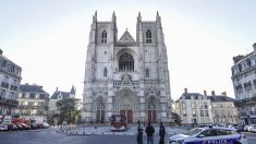 Incendie dans la cathédrale de Nantes: le bénévole passe aux aveux et est écroué