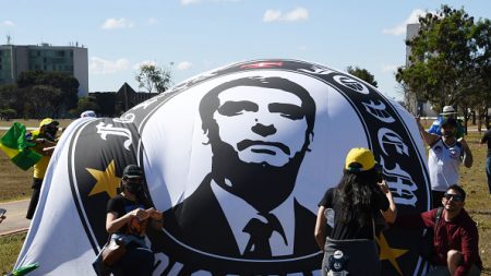 Manifestation de soutien à Bolsonaro, en quarantaine à Brasilia