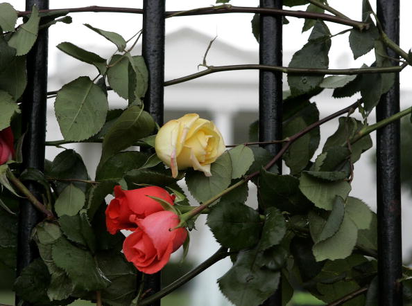 Thomas a été poignardé dans la nuit du 9 au 10 mai à Sarcelles par un homme qui venait de sortir de prison. (Joshua Roberts/Getty Images)