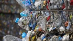 Le gouvernement australien va créer 10.000 nouveaux emplois grâce au Fonds de recyclage