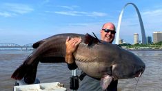 « J’ai pêché un monstre » : Un passionné remonte un énorme poisson-chat de 50kg dans la rivière du Mississippi