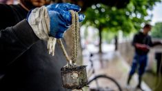 À 10 ans, Raphaël passe ses week-ends à dépolluer la Seine avec ses aimants