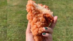 Un cristal en forme de poulet frit d’une bijoutière devient viral sur les médias sociaux