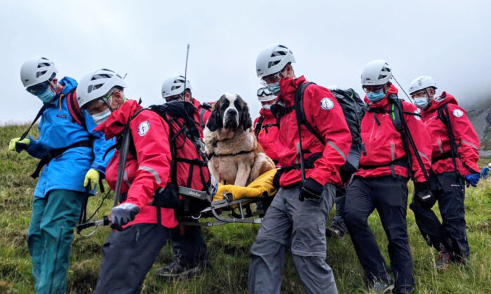 (Avec l'aimable autorisation de Wasdale Mountain Rescue)